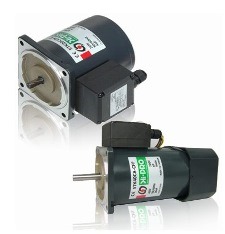 Torque Motor